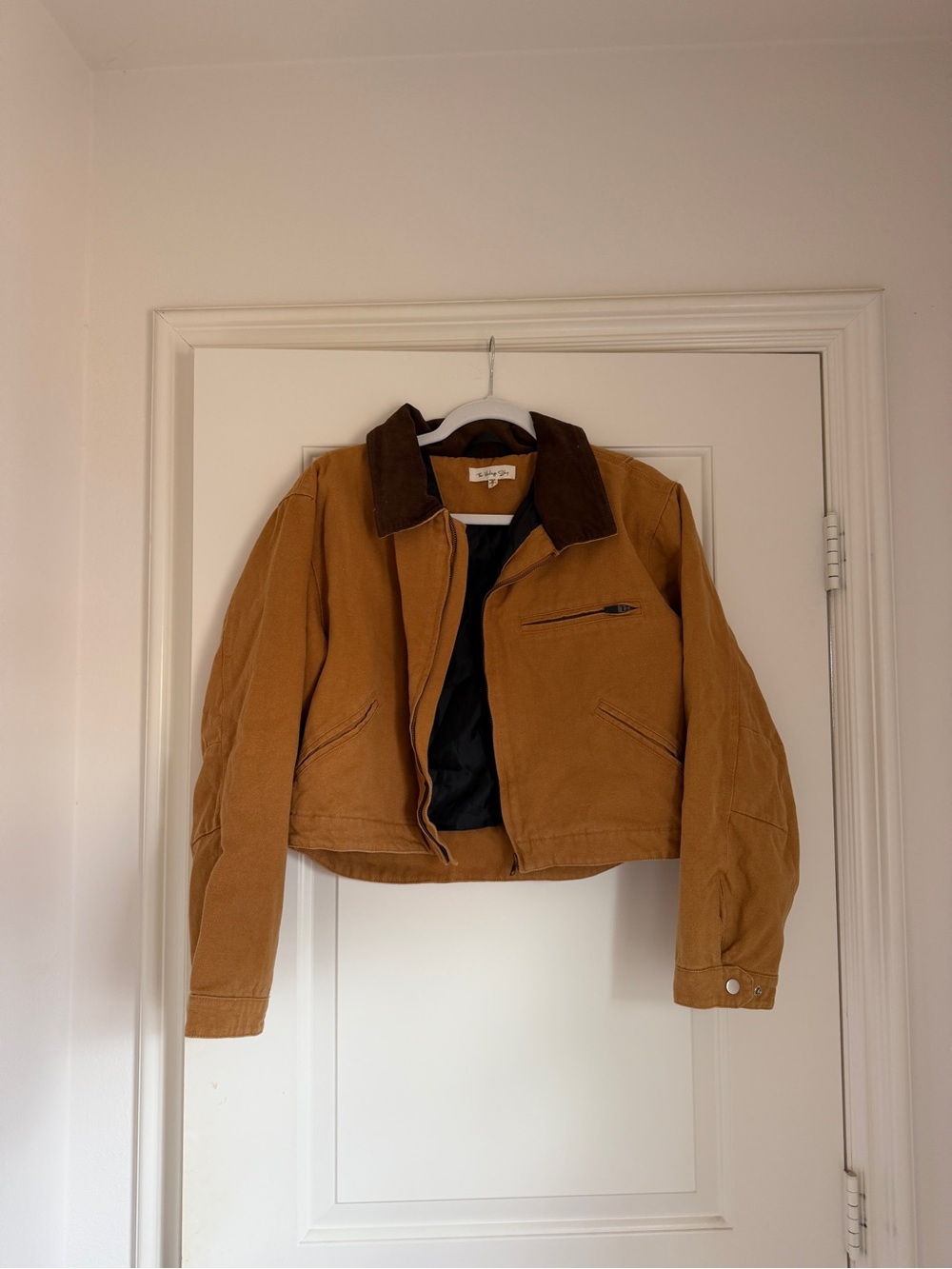 Windsor Cropped Tan Jacket with Dark Brown Collar